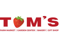 toms logo